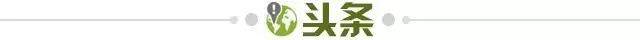 球王会官方-【早报】C罗缺席+拥抱魔笛，克罗地亚小胜葡萄牙！